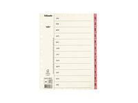 Pappregister Servo A4 Jan-Dec rosa flik - Primmeshiper