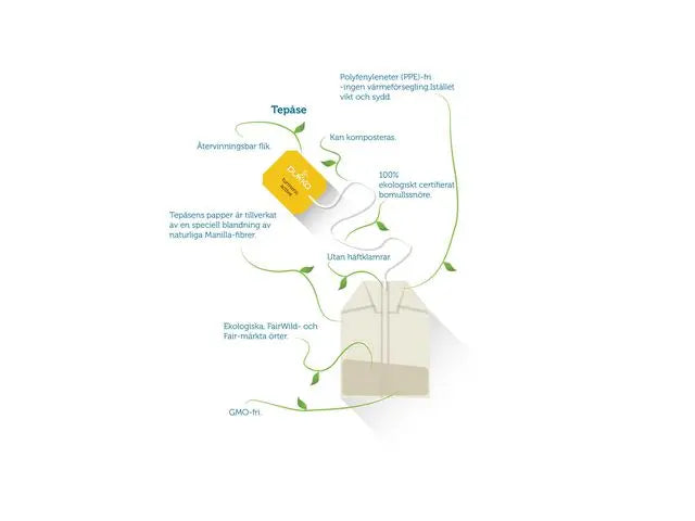 Te PUKKA Wild Apple Cinnamon 20/fp - Primmeshiper