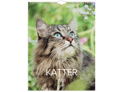 Väggkalender Stora Kattkalendern 2025 - Primmeshiper