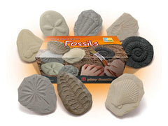 Undersök Fossilier av sten 8/fp - Primmeshiper